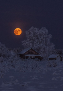 Вахта