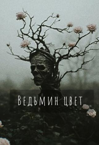 Ведьмин цвет