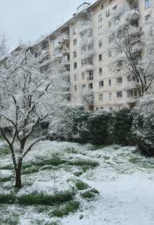 Весенний снег