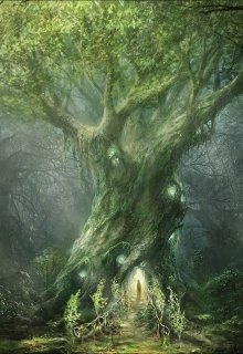 Воины Богов