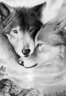 Волчица. Жизнь в стае.