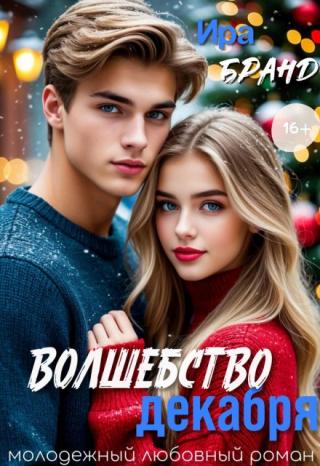 Волшебство декабря