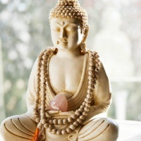 Восемь внимательных шагов к счастью. Следуя по стопам Будды