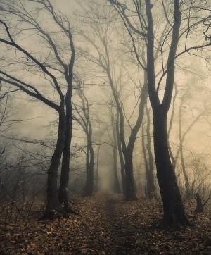 Воспитатель. Игры для души