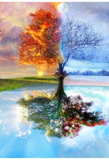 Времена года