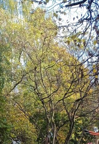 Время прокружит