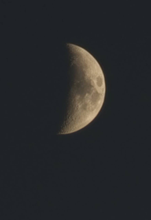 Встреча с прошлым