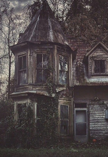 Всё из-за неё. Из-за этой книги.