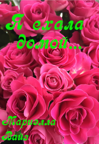 Я ехала домой...