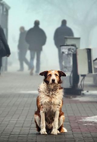 Я Стану Твоим Верным Другом