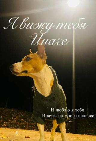 Я вижу тебя иначе