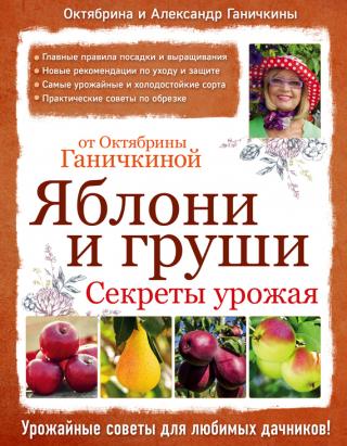 Яблони и груши: секреты урожая от Октябрины Ганичкиной