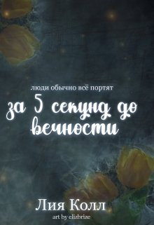 За 5 секунд до вечности