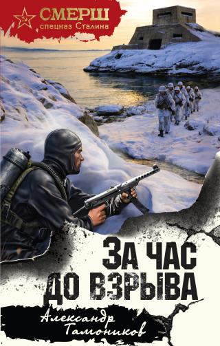За час до взрыва [litres]