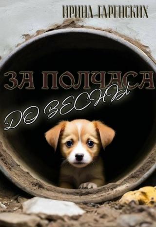За полчаса до весны
