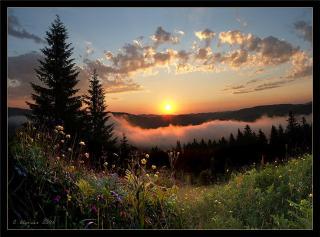 Забытая сказка