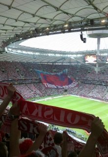 Записки фаната или 