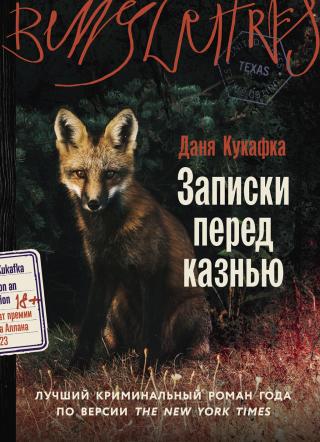 Записки перед казнью [litres][Notes on an Execution]