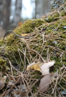 Заветное место