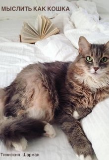 Завтрак у Тиниссии