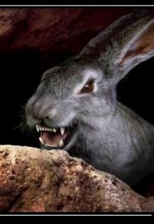 Заяц в лапах орла.