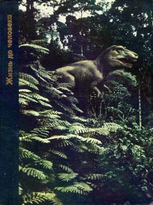 Жизнь до человека