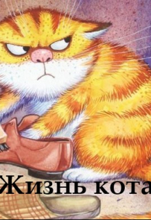 Жизнь кота