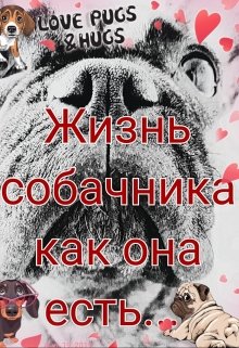 Жизнь собачника как она есть