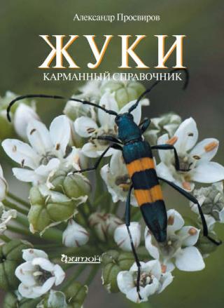 Жуки [litres]