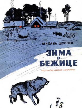 Зима в Бежице [Рисунки Н. Лямина]