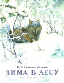 Зима в лесу