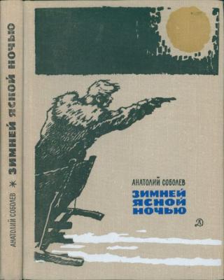 Зимней ясной ночью