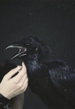 Златокудрый король