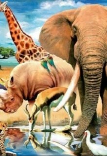 Зоопарк моей жизни