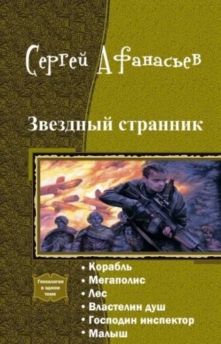 Звездный странник – 1. Корабль